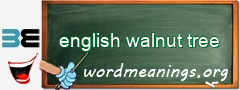 WordMeaning blackboard for english walnut tree